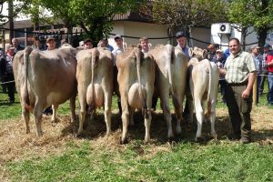 ZF JOELLE A75 Infanger Sepp Engelberg